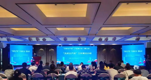 服務中小文化企業，賦能產業創新——“天府文產貸”產品推介會眉山站成功舉辦